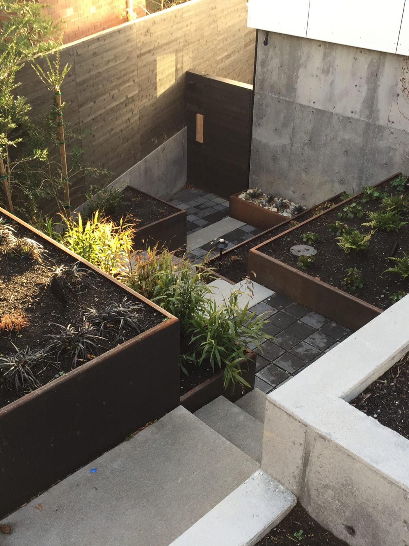 An aerial view of a garden in a backyard.