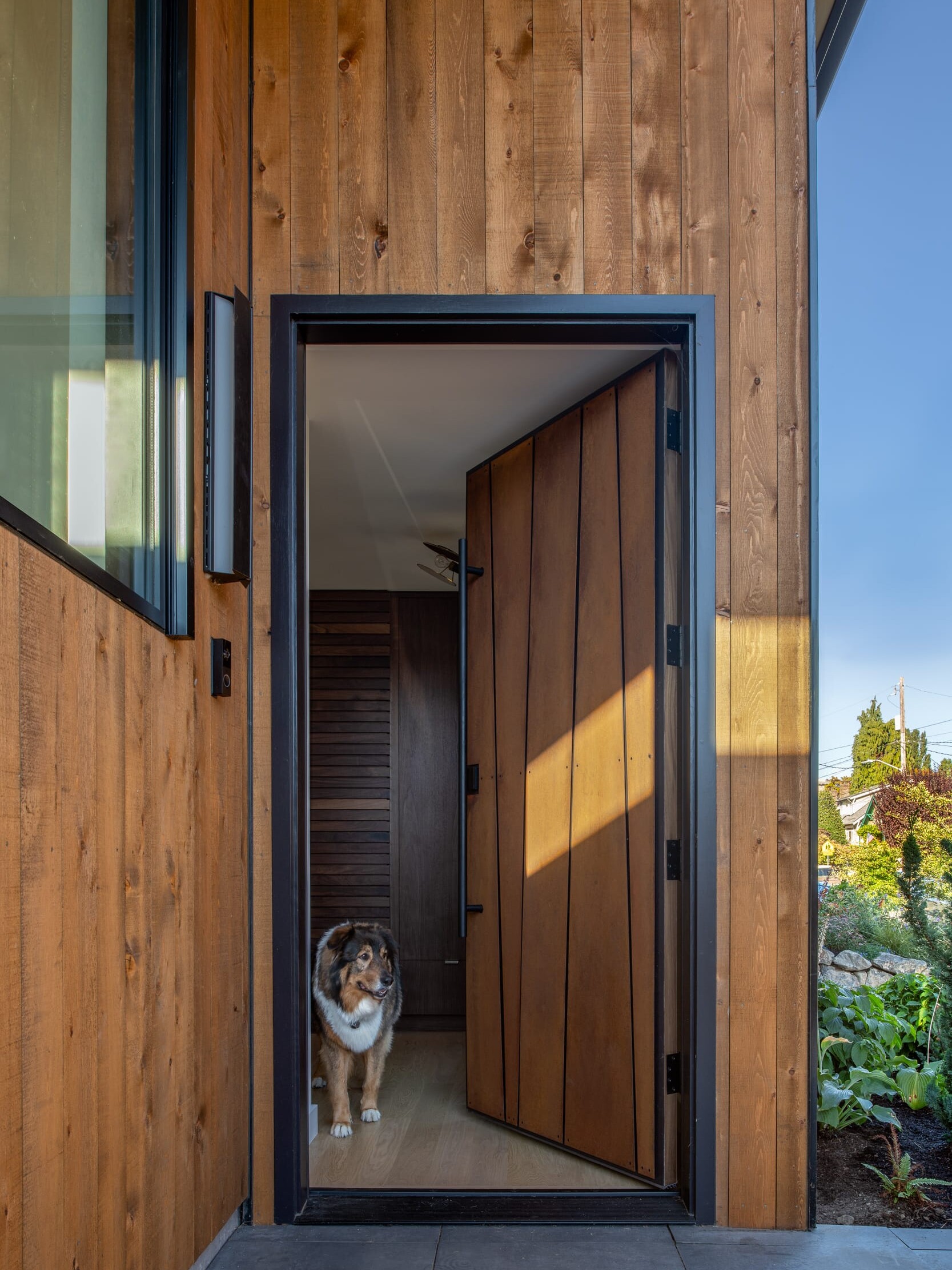 A dog is standing in the doorway of a house.